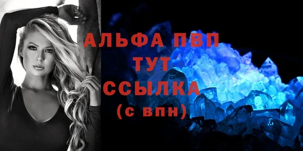 прущий лед Дмитриев