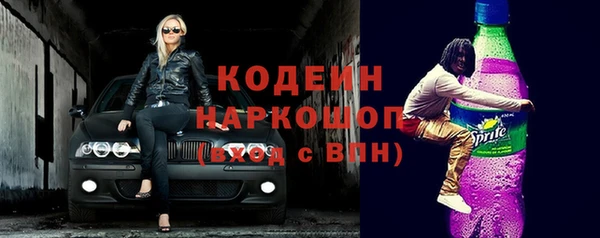 прущий лед Дмитриев