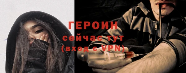 прущий лед Дмитриев