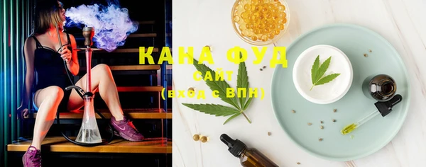 прущий лед Дмитриев