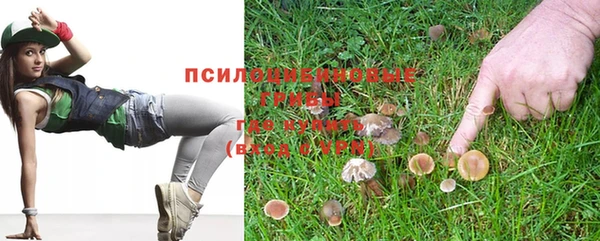 прущий лед Дмитриев