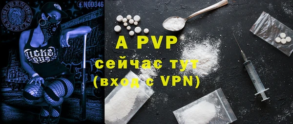дмт Дмитровск