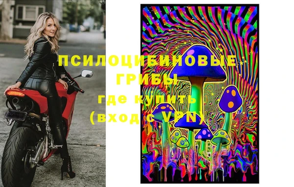 прущий лед Дмитриев