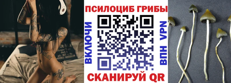 магазин  наркотиков  Карабаш  blacksprut   Галлюциногенные грибы Psilocybine cubensis 